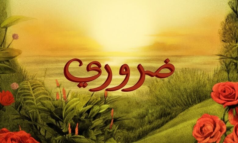 كلمات اغنية ضروري تووليت 2025