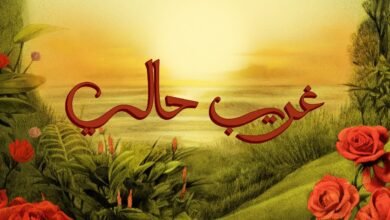 كلمات اغنية غريب حالي تووليت 2025
