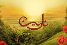 كلمات اغنية نارين تووليت 2025