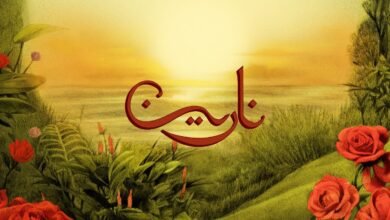 كلمات اغنية نارين تووليت 2025