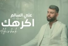 كلمات اغنية اكرهك علي السالم 2025