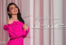 كلمات اغنية كانه حلم اصيل هميم 2025