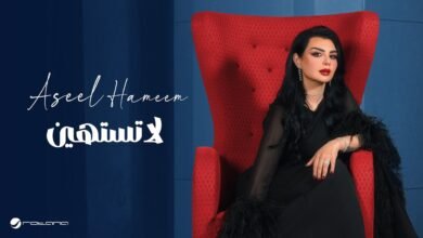 كلمات اغنية لا تستهين اصيل هميم 2025