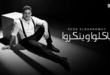 كلمات اغنية ياكلو وينكروا رضا البحراوي 2026