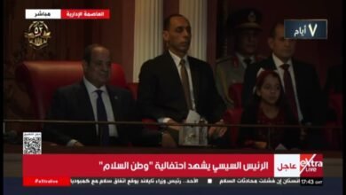 كلمات اغنية جمد قلبك كمل يا فلسطيني محمد منير ومحمد حماقي 2026