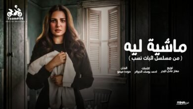 كلمات اغنية ماشية ليه دعاء رشوان 2026