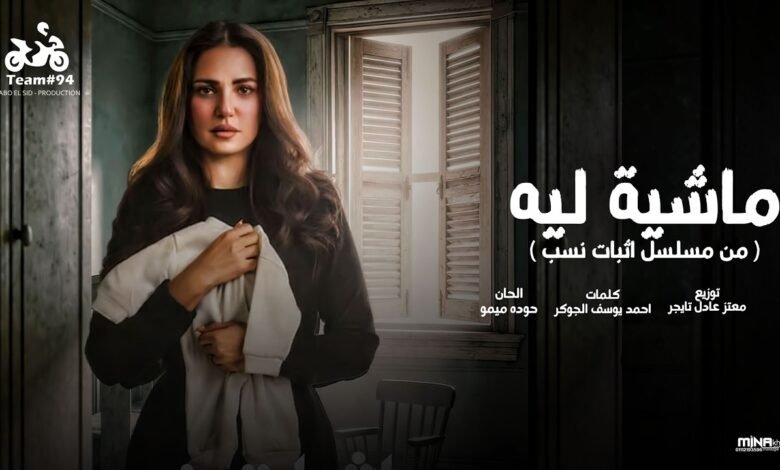كلمات اغنية ماشية ليه دعاء رشوان 2026