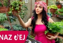 كلمات اغنية يا حبيبي ناز دج 2026