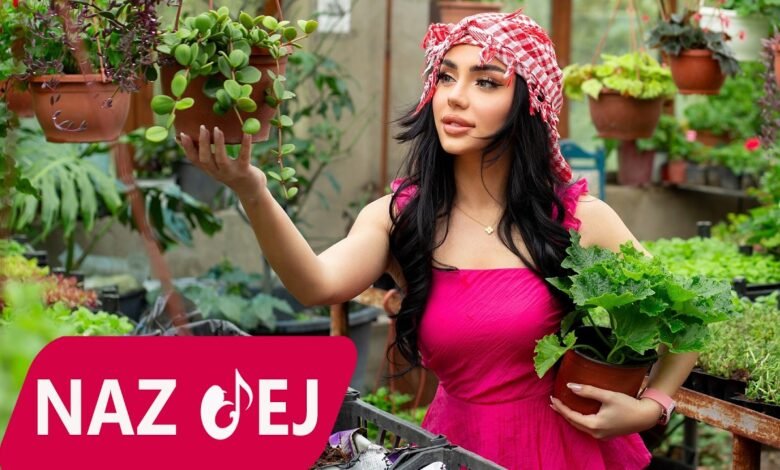كلمات اغنية يا حبيبي ناز دج 2026