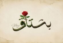 كلمات اغنية بشتاق محمد سعيد 2026