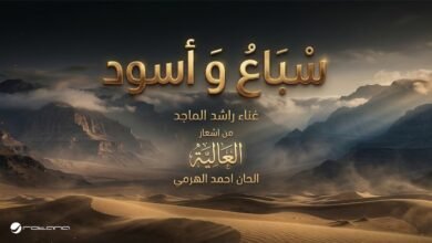 كلمات اغنية سباع وأسود راشد الماجد