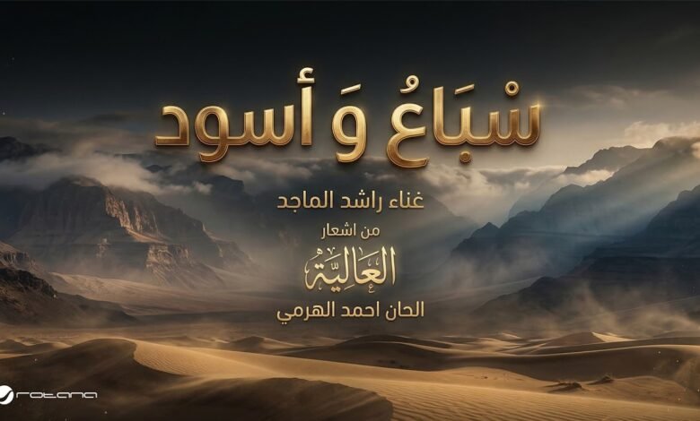 كلمات اغنية سباع وأسود راشد الماجد