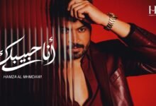 كلمات اغنية انا حبيبك حمزة المحمداوي 2026