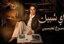 كلمات اغنية هاي شبيك دموع تحسين 2026