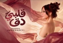 كلمات اغنية قلبي دق دق نوال عبد الشافي 2026